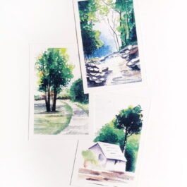 Nature’s Beauty Postcards (Set of 3)